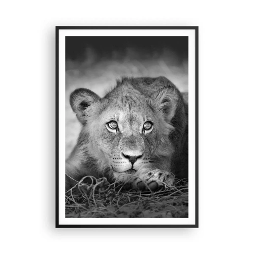 Plagát v čiernom ráme - Kráľovské šteňa - 70x100 cm