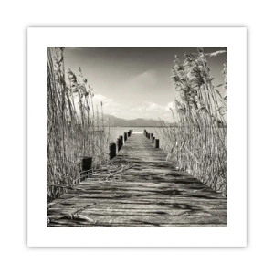 Plagát - V ústraní tráv - 40x40 cm