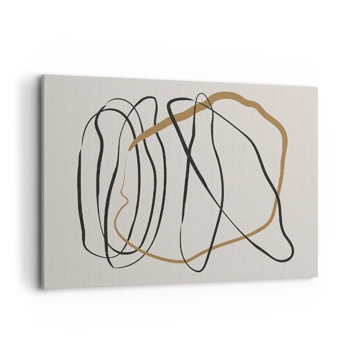 Obraz na plátne - Kompozícia – tanec v slučke - 100x70 cm