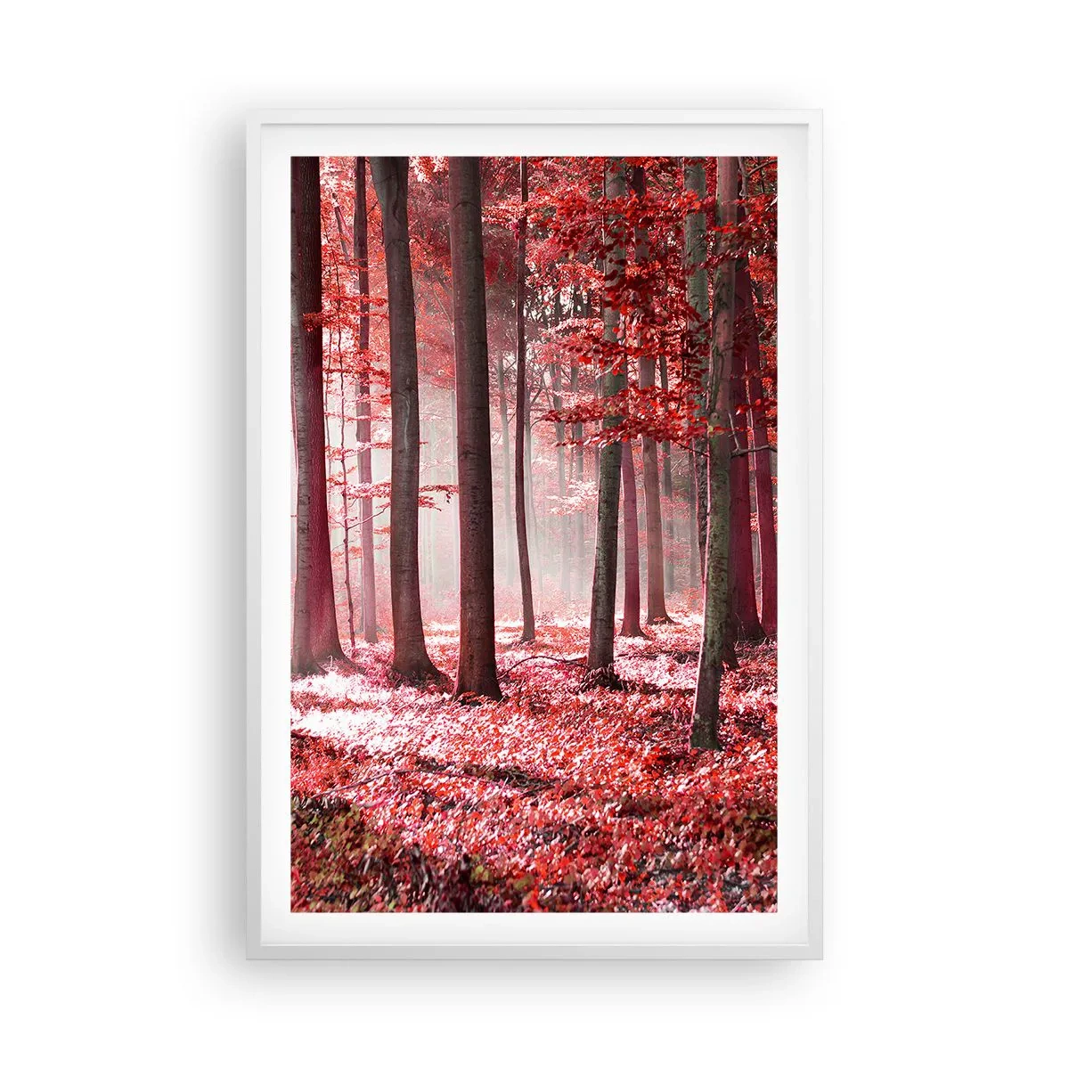 Plagát v bielom ráme - Červená je rovnako krásna - 61x91 cm