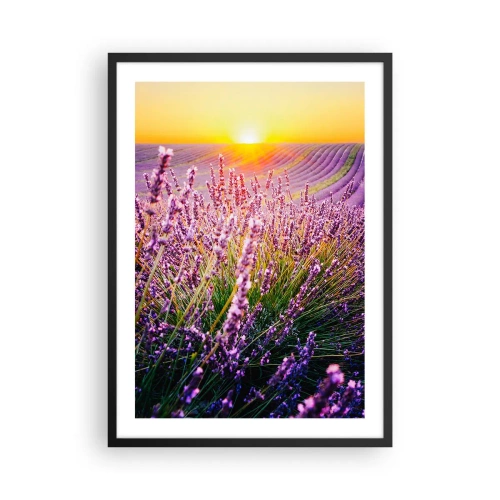 Plagát v čiernom ráme - Levanduľové pole osvetlené lúčmi zapadajúceho slnka - 50x70cm - Voňavý lán - Moderná nástenná dekorácia do obývacej izby a spálne ARTTOR