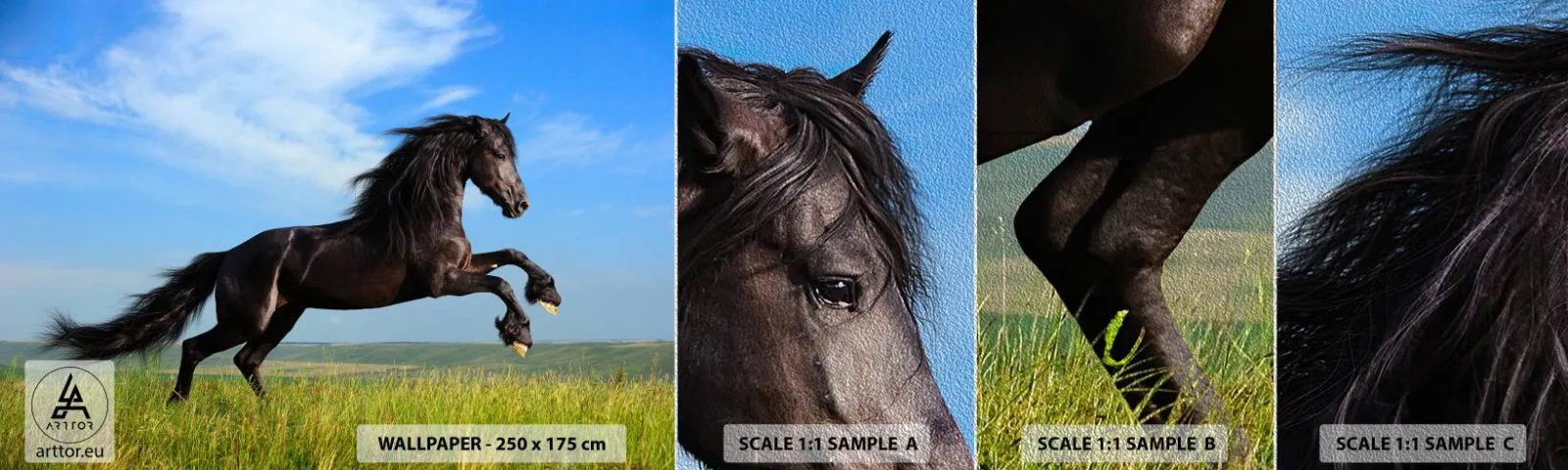 Vzorka fototapety Premium Sand - Strhujúci manifest slobody - Zvieratá, Kôň, Krajina - 100x30 cm