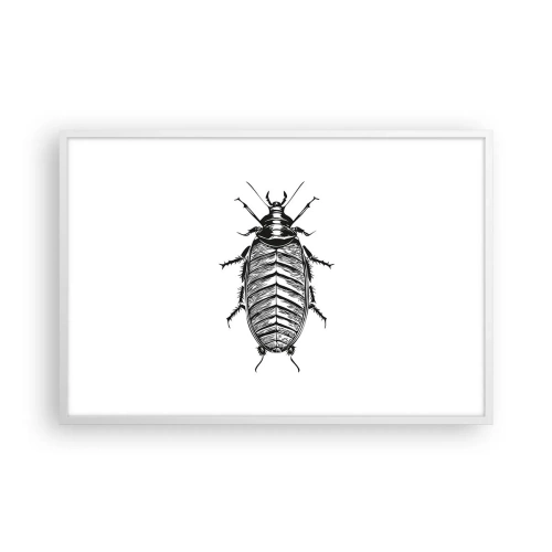 Plagát v bielom ráme - Vzorový exemplár! - 91x61 cm