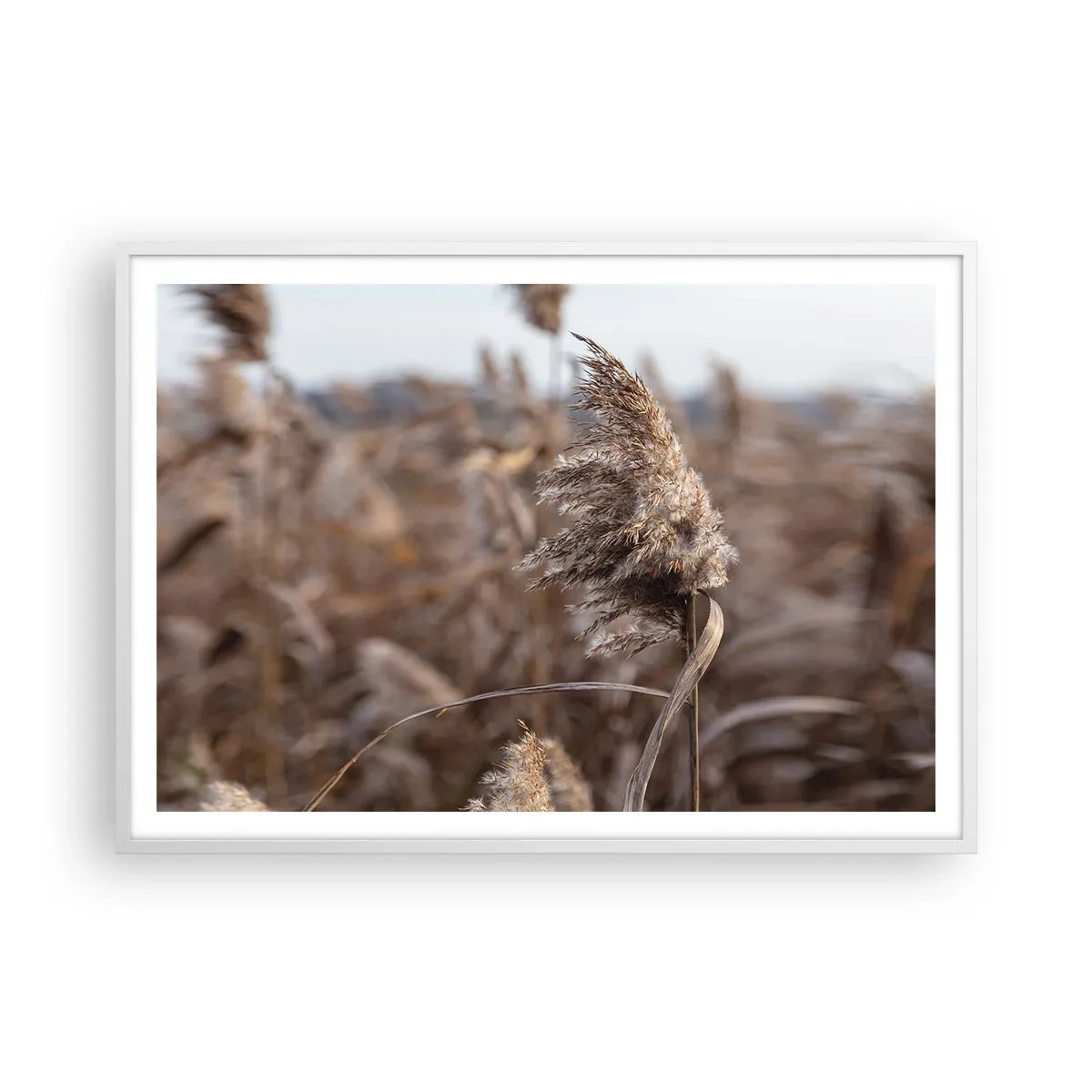 Plagát v bielom ráme - Čas odletieť s vetrom - 100x70 cm