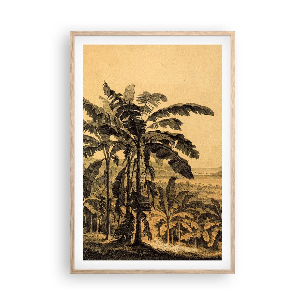 Plagát v ráme zo svetlého duba - V koloniálnom štýle - 61x91 cm