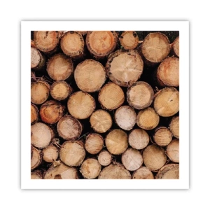 Plagát - Nový začiatok - 60x60 cm