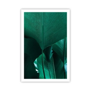 Plagát - Obrátené k svetlu - 61x91 cm