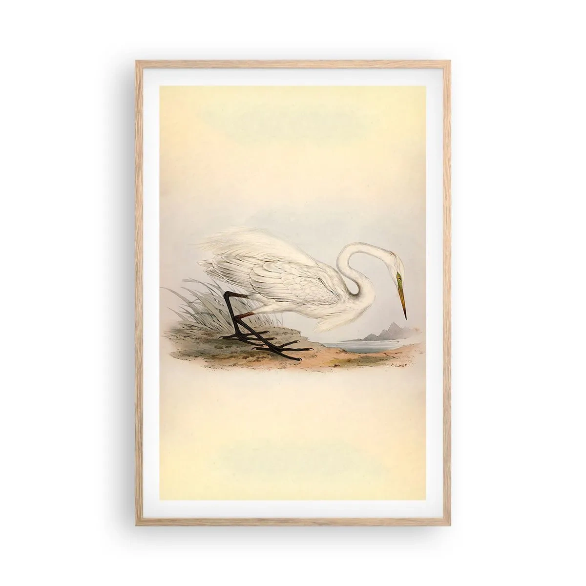 Plagát v ráme zo svetlého duba - Pani rákosín - 61x91 cm