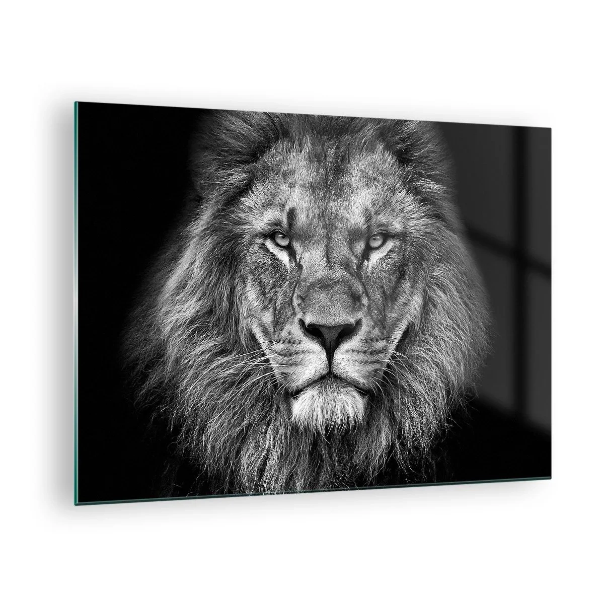 Obraz na skle - Portrét leva v čiernej a bielej farbe s majestátnou hrivou - 70x50cm - V korunovačnom odeve - Moderná nástenná dekorácia do obývacej izby a spálne ARTTOR