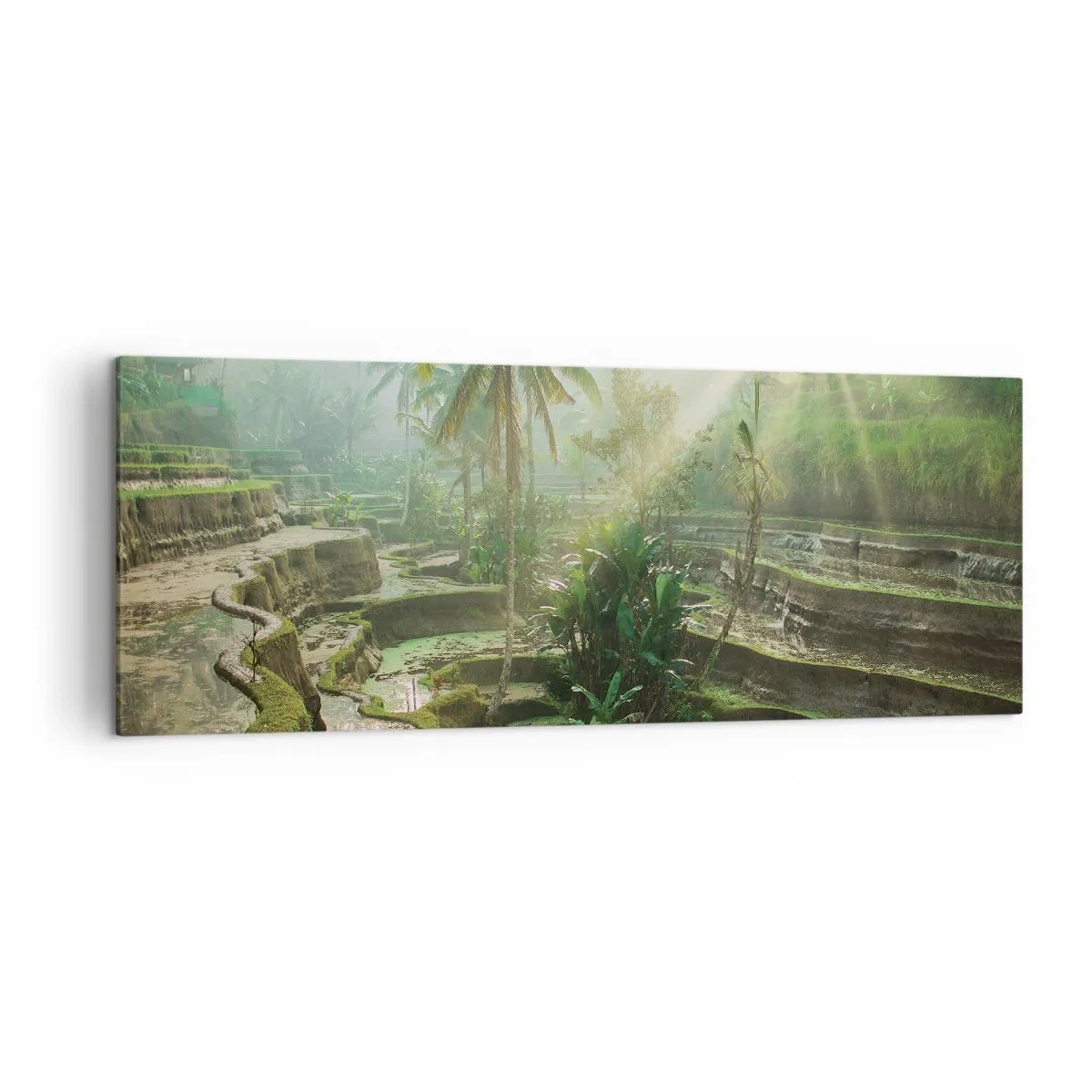 Obraz na plátne - Vyrastať na slnku - 140x50 cm