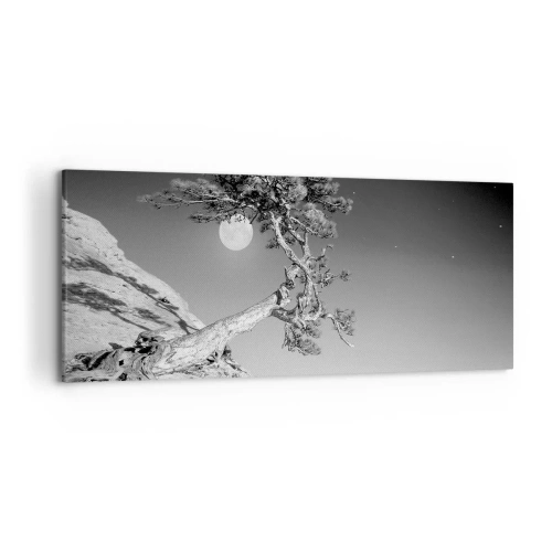 Obraz na plátne - Víťazná bojovníčka - 120x50 cm