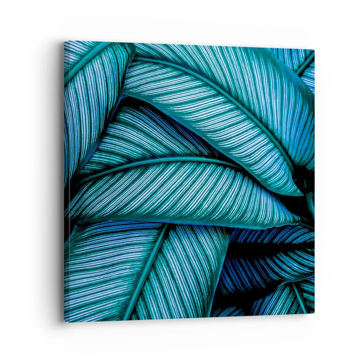 Obraz na plátne - Čiary života - 30x30 cm