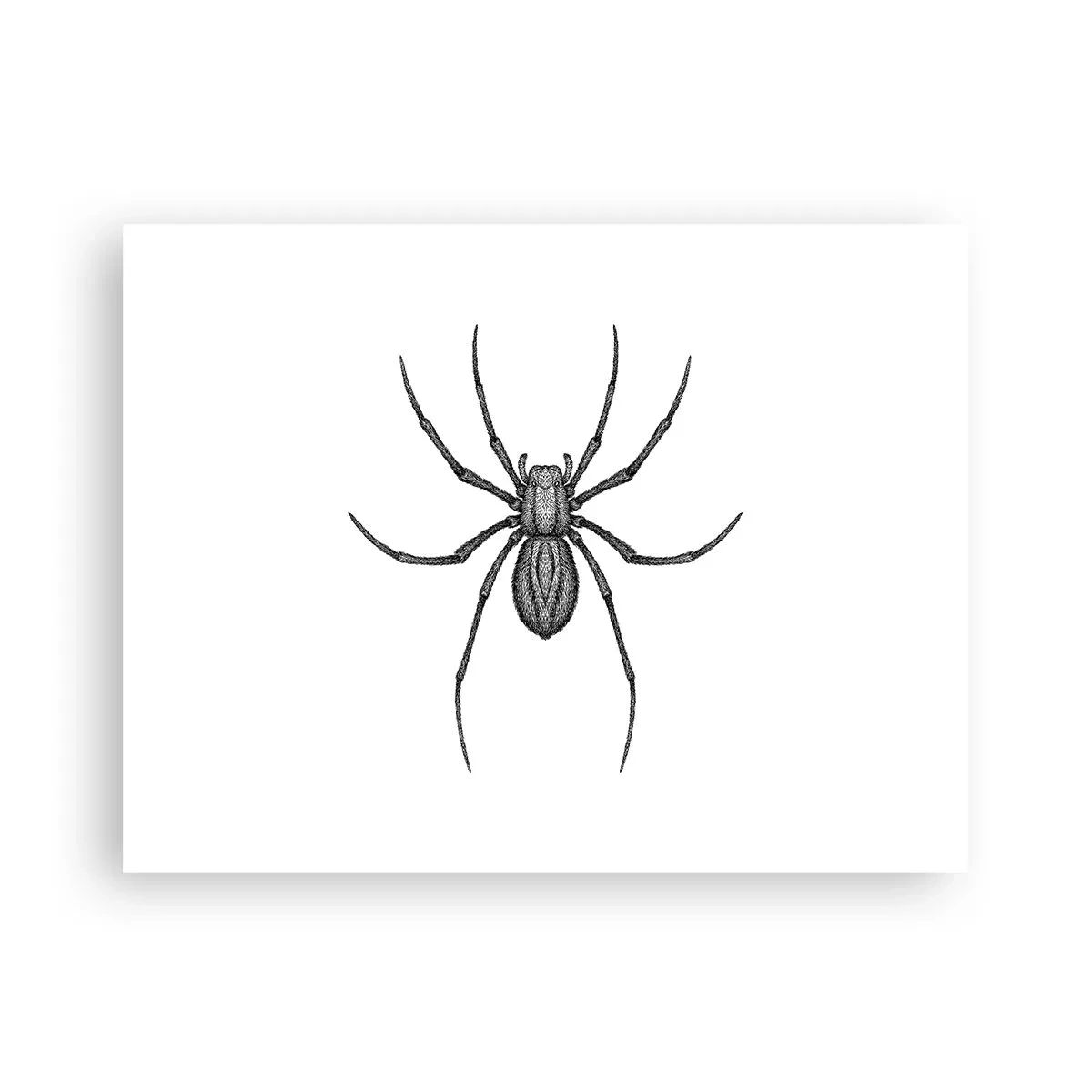 Plagát - Znepokojivá presnosť - 40x30 cm