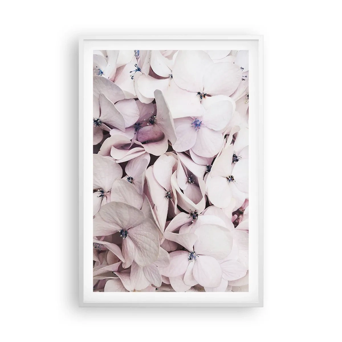 Plagát v bielom ráme - V záplave kvetov - 61x91 cm