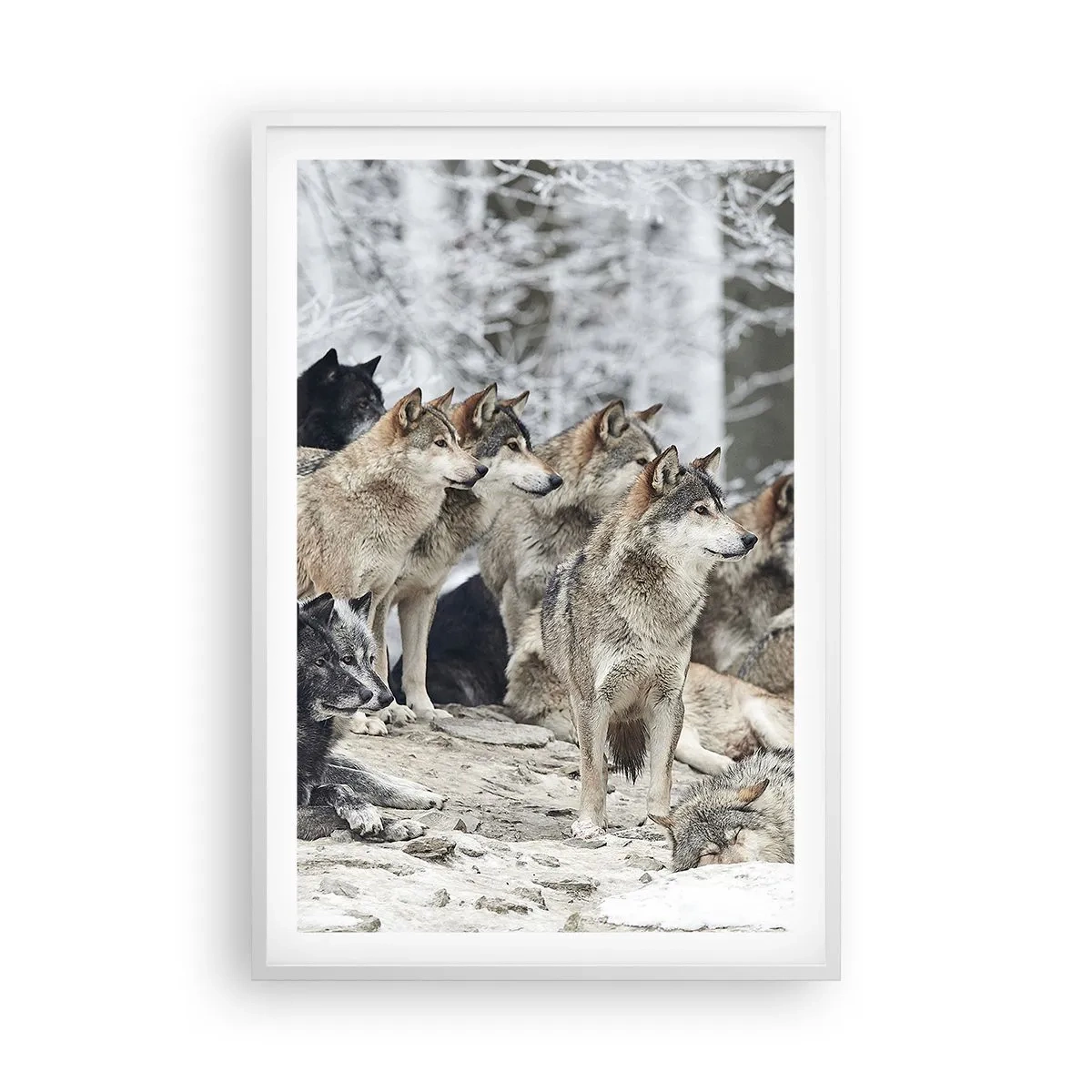 Plagát v bielom ráme - Rodina a priatelia - 61x91 cm