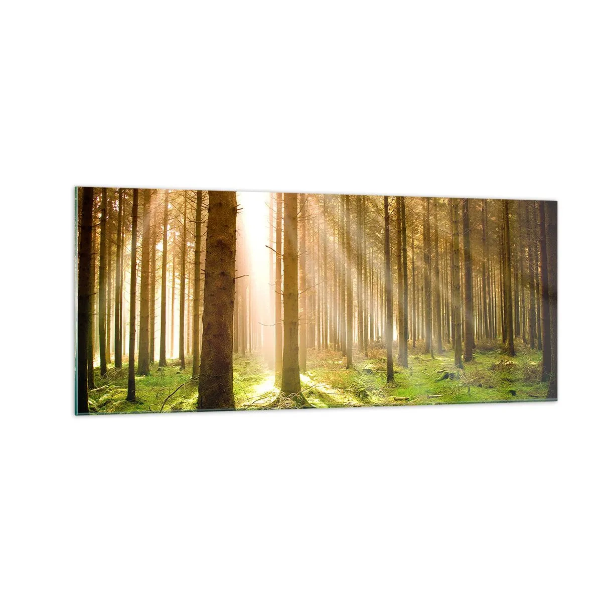 Obraz na skle - Čoskoro sa objavia elfovia - 100x40 cm