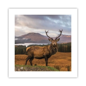 Plagát - Majestát prírody - 40x40 cm