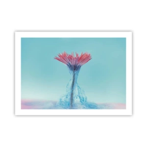 Plagát - V osviežujúcom objatí - 70x50 cm