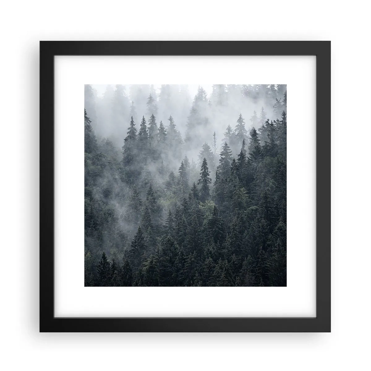 Plagát v čiernom ráme - Lesné svitania - 30x30 cm