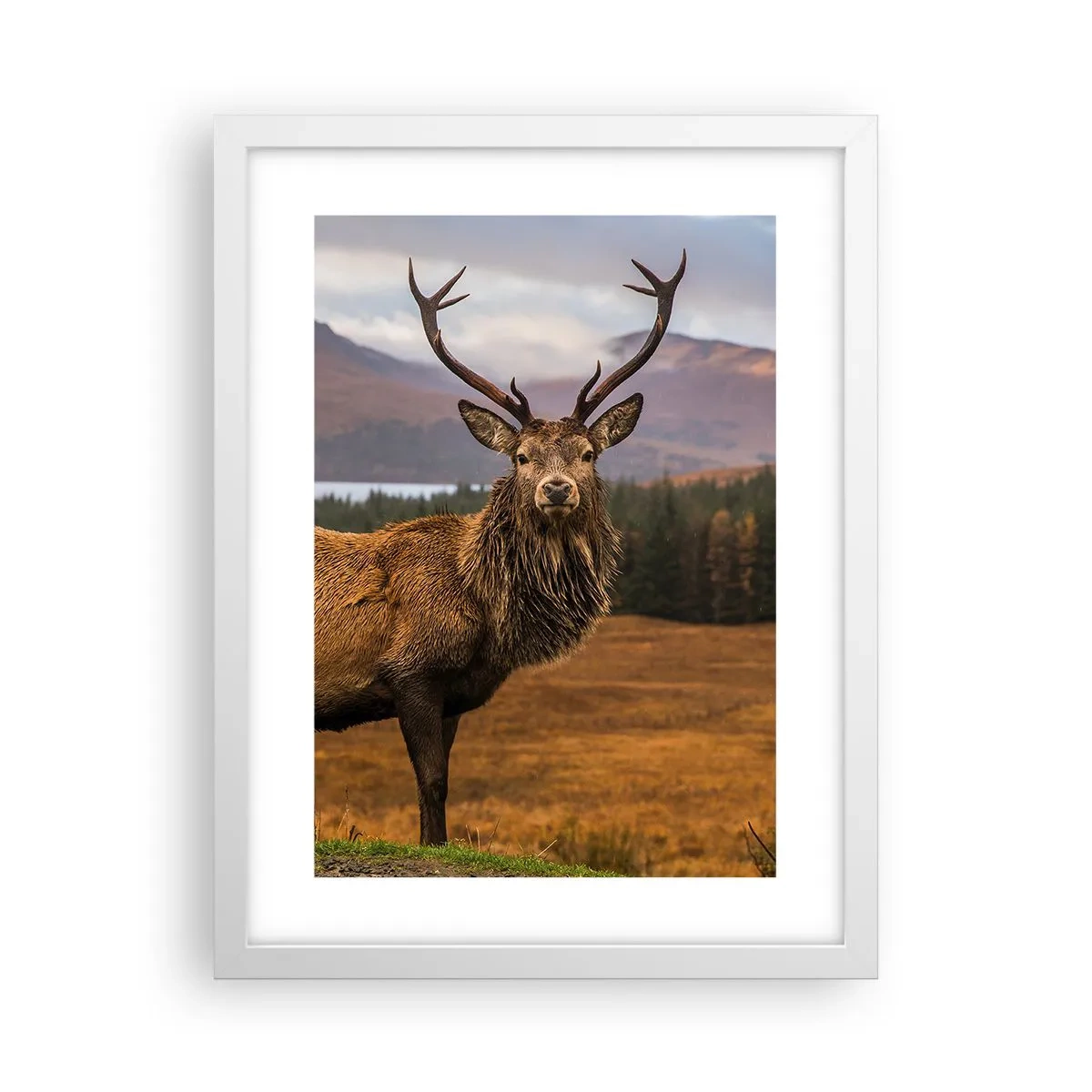 Plagát v bielom ráme - Majestát prírody - 30x40 cm