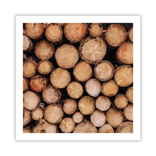 Plagát - Nový začiatok - 60x60 cm