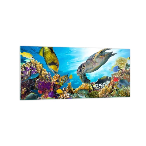Obraz na skle - Koralová promenáda - 120x50 cm