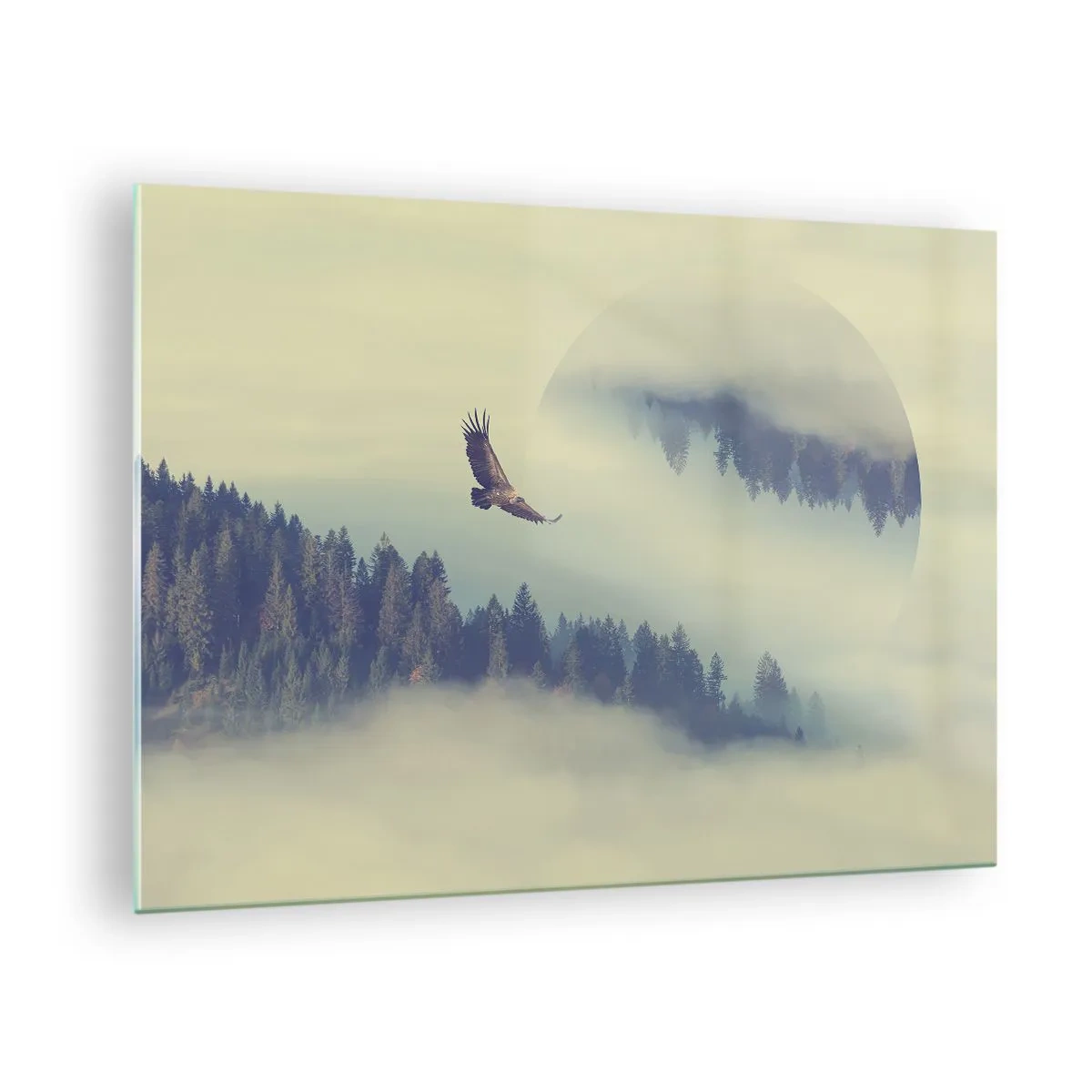 Obraz na skle - Orol letí nad lesom zahaleným v hmle so surrealistickým odrazom. - 70x50cm - Videla som tieň orla - Moderná nástenná dekorácia do obývacej izby a spálne ARTTOR