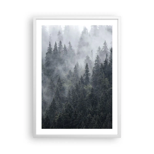 Plagát v bielom ráme - Lesné svitania - 50x70 cm