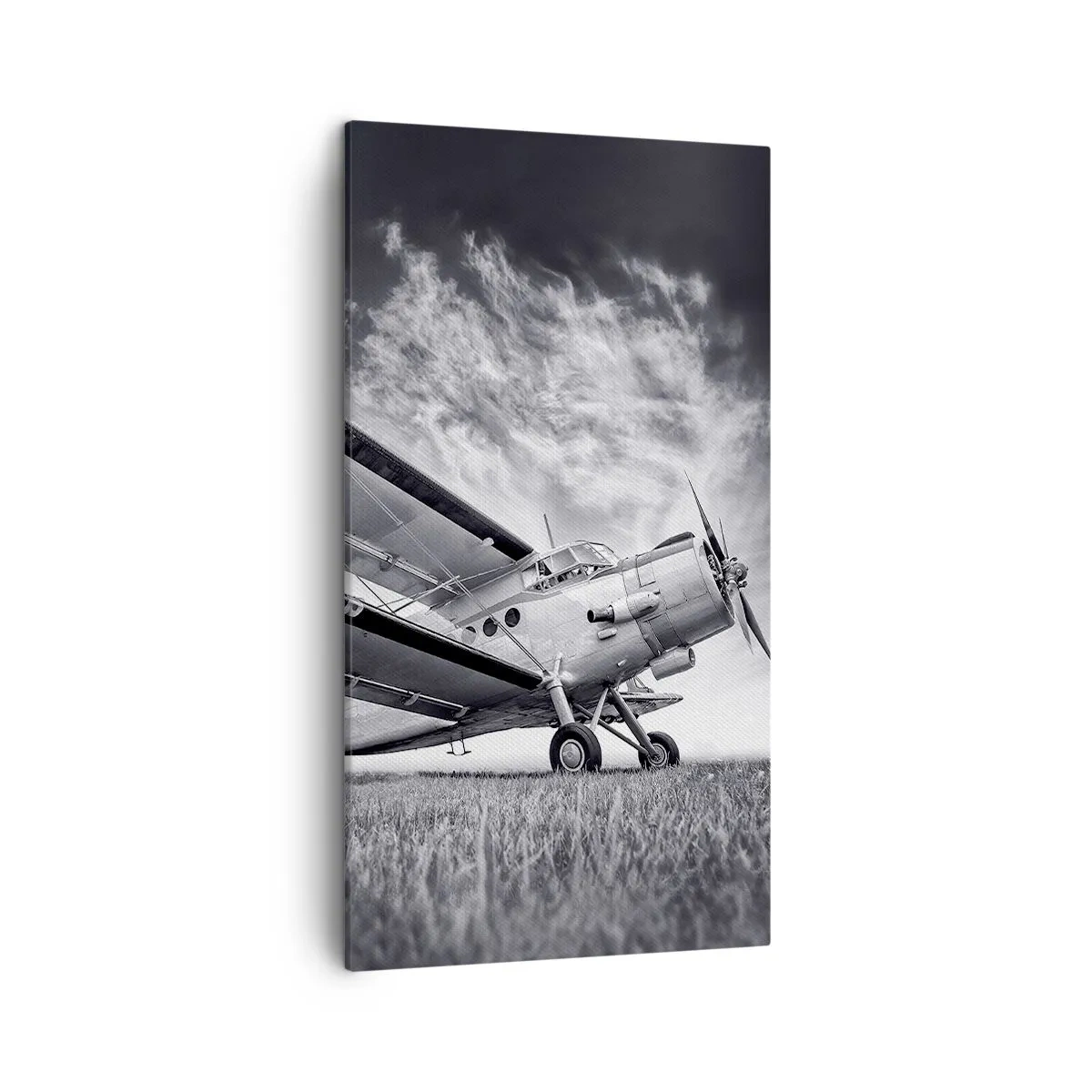 Obraz na plátne - Okrídlený pútnik - 45x80 cm