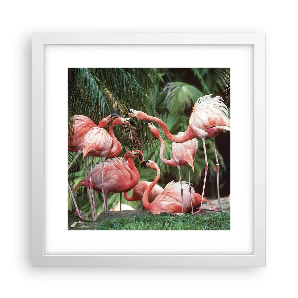 Plagát v bielom ráme - Popoludňajšie klebety - 30x30 cm