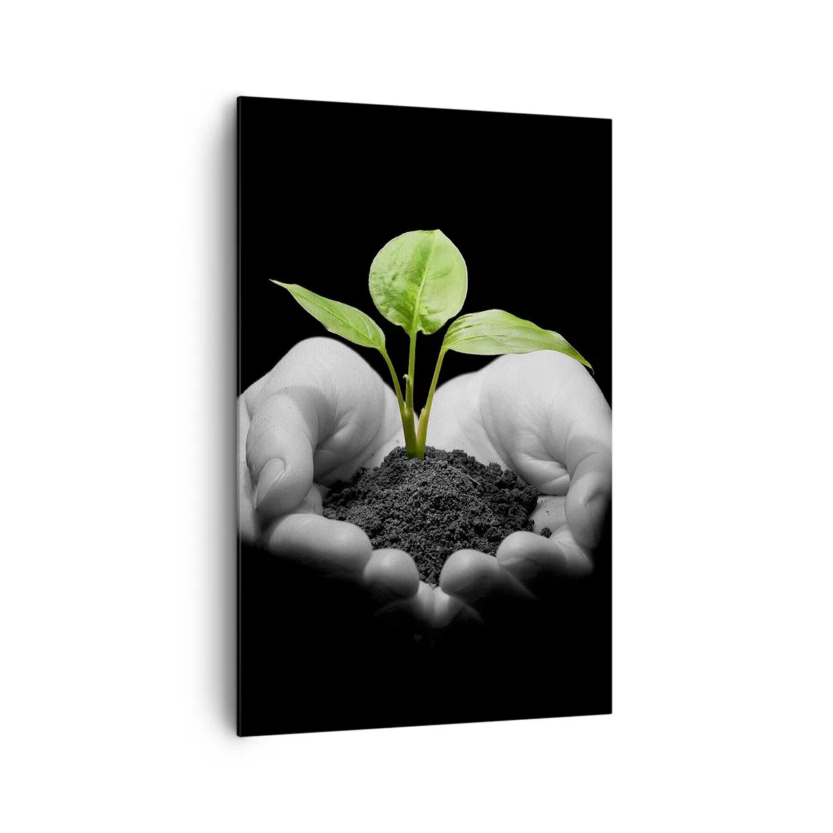 Obraz na plátne - Milujem prírodu, chránim ju - 80x120 cm