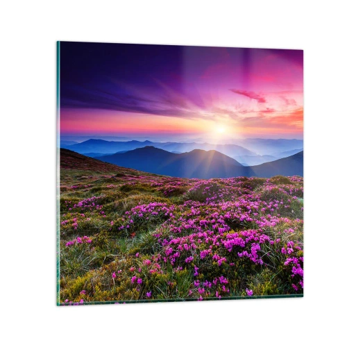 Obraz na skle - Zavoňali svieže púčiky byliniek z obilných polí - 30x30 cm