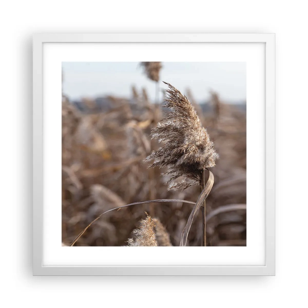 Plagát v bielom ráme - Čas odletieť s vetrom - 40x40 cm