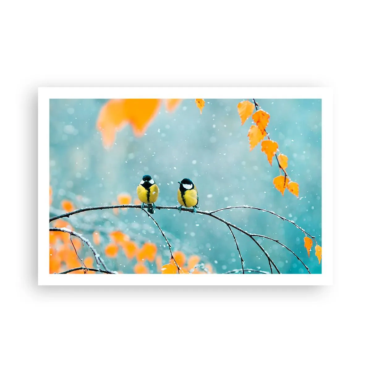 Plagát - Vtáčie klebety - 91x61 cm