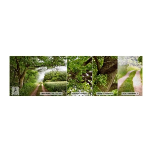 Vzorka fototapety Premium Canvas - Et in Arcadia ego - Krajina, Špinavá cesta, Príroda - 100x30 cm
