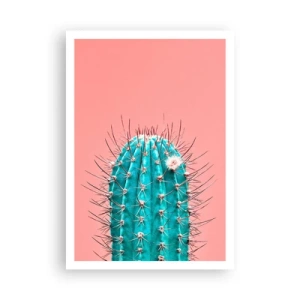 Plagát - Len pozeraj - 70x100 cm