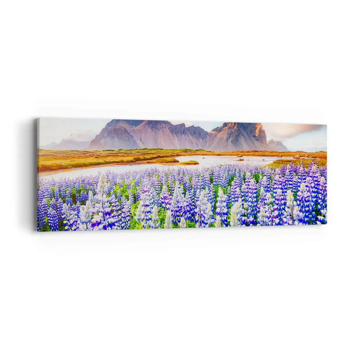 Obraz na plátne - Sila a prísnosť vedľa miernosti - 90x30 cm