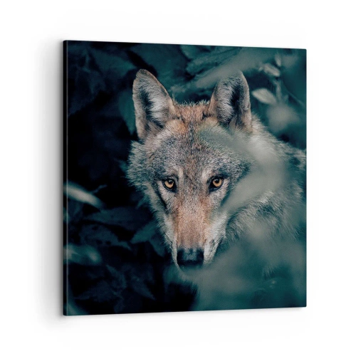 Obraz na plátne - Predátor - 60x60 cm