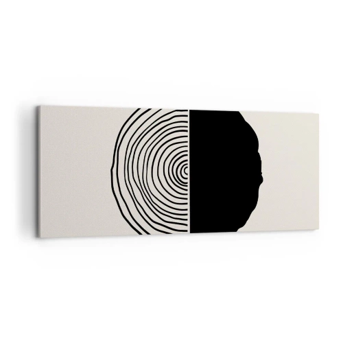 Obraz na plátne - Pol na pol - 100x40 cm