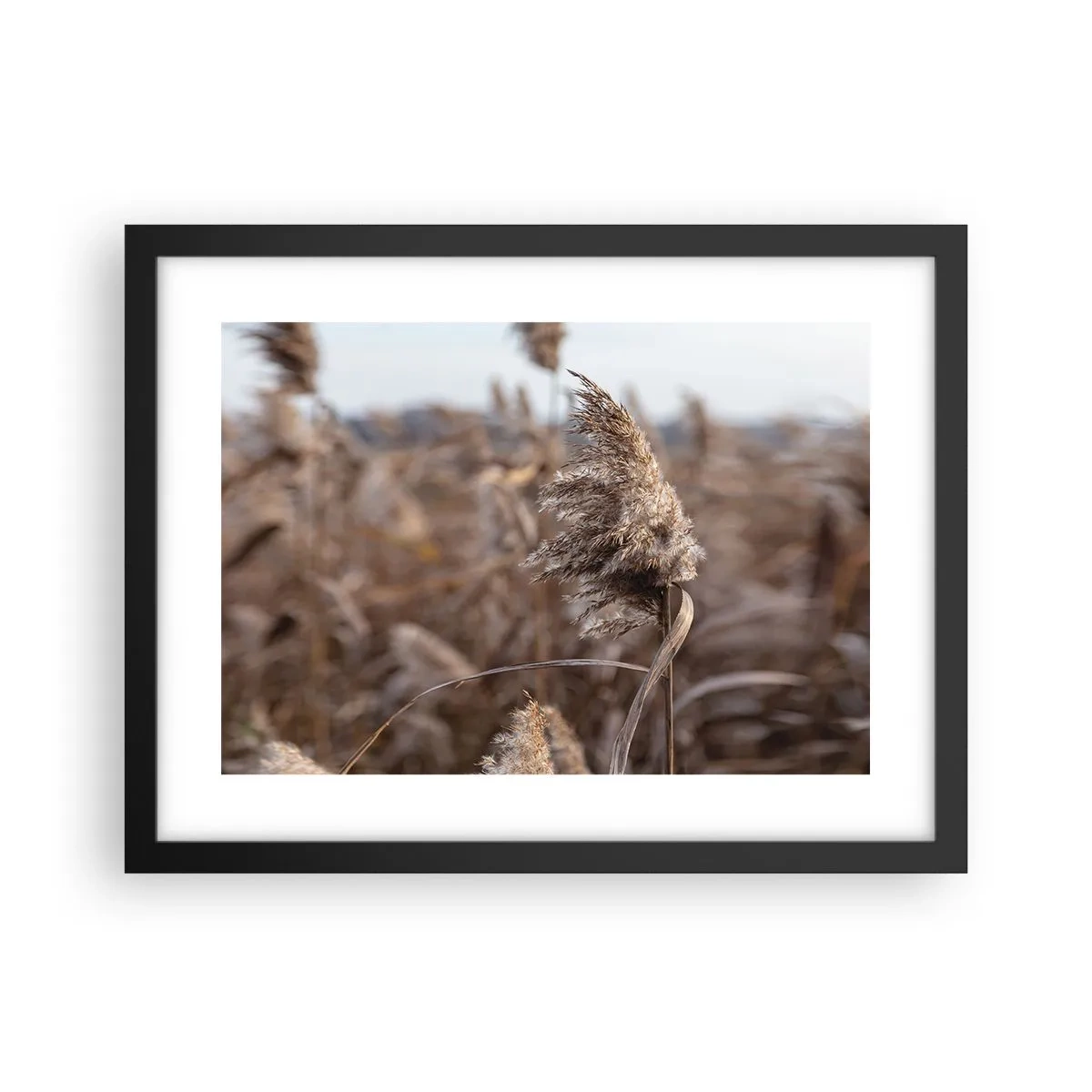 Plagát v čiernom ráme - Čas odletieť s vetrom - 40x30 cm