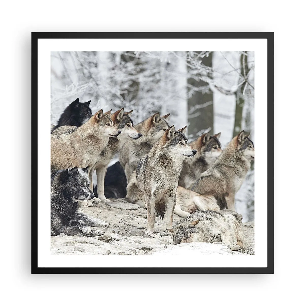 Plagát v čiernom ráme - Rodina a priatelia - 60x60 cm