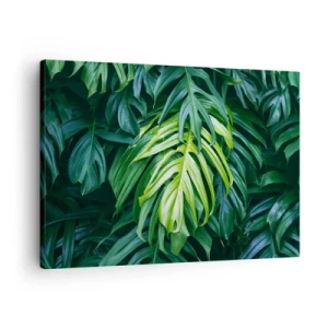Obraz na plátne - Zelené listy v hustom tropickom usporiadaní - 70x50cm - Ponoriť sa do sviežosti - Moderná nástenná dekorácia do obývacej izby a spálne ARTTOR