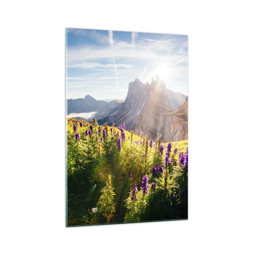 Obraz na skle - Tajomný život bylín - 70x100 cm