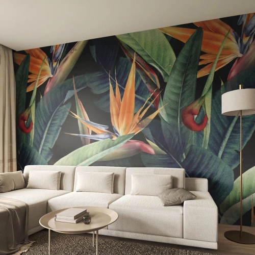 Fototapeta na mieru Standard Eco - Plamenné kvety trópov - Strelitzia Royal, Kvetina, Afriky