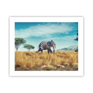 Plagát - Šedá už nie je v móde - 50x40 cm