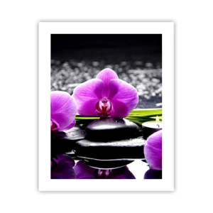 Plagát - Utopiť v tichu a pokoji - 40x50 cm