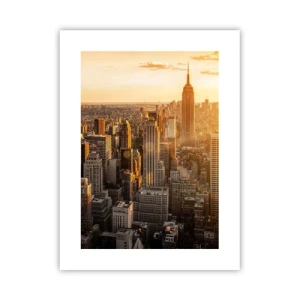 Plagát - Rast na slnku - 30x40 cm