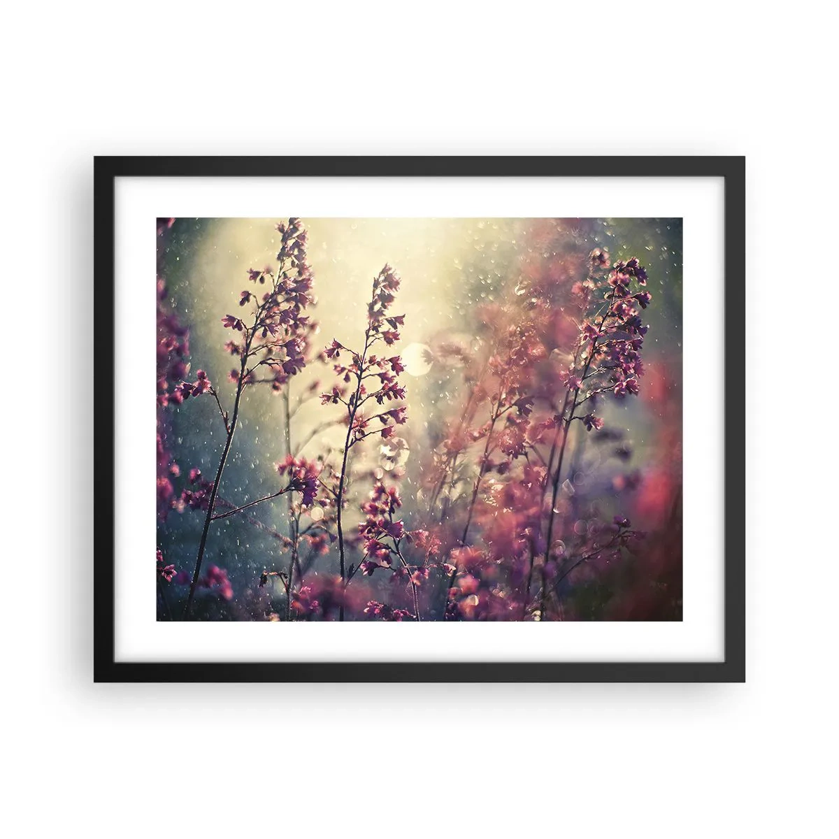 Plagát v čiernom ráme - Tajná záhrada - 50x40 cm