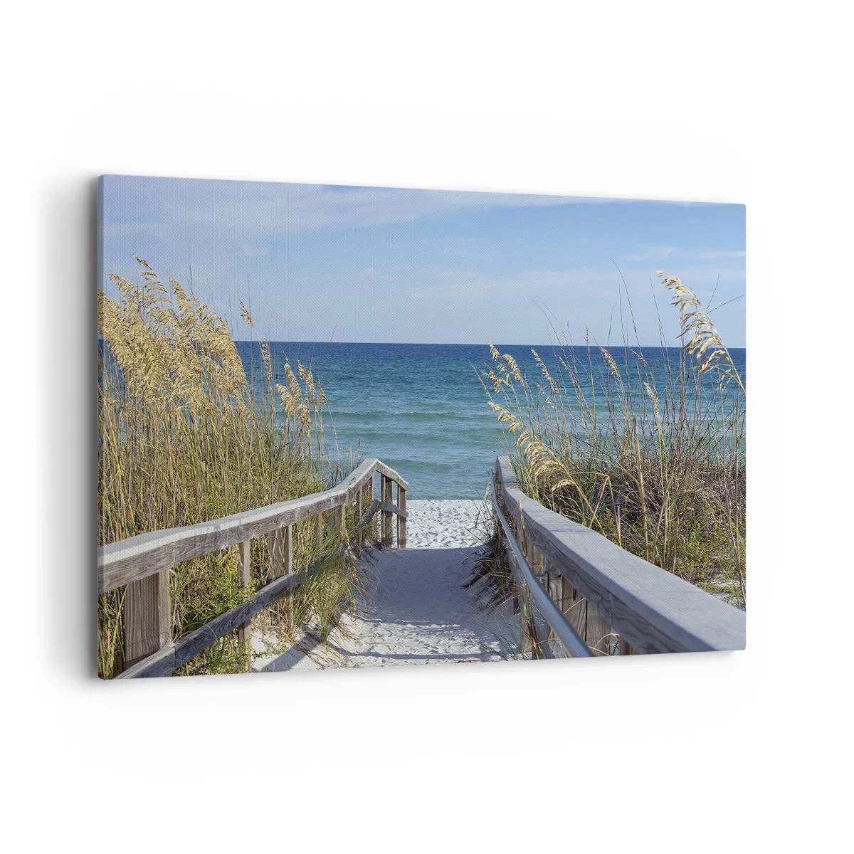 Obraz na plátne - Na slnku, vo vetre - 100x70 cm