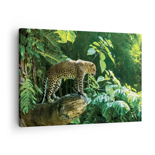 Obraz na plátne - Leopard stojaci na skale obklopený tropickou vegetáciou - 70x50cm - Na lov? - Moderná nástenná dekorácia do obývacej izby a spálne ARTTOR